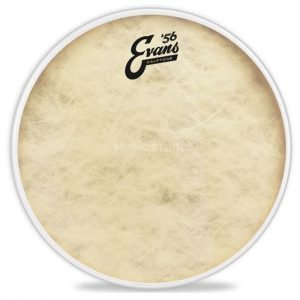EVANS CALFTONE TOM 12" TT12C7