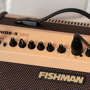 FISHMAN Loudbox Mini Amplifier - Image 4