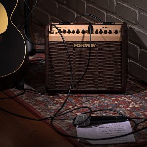 FISHMAN Loudbox Mini Amplifier - Image 3