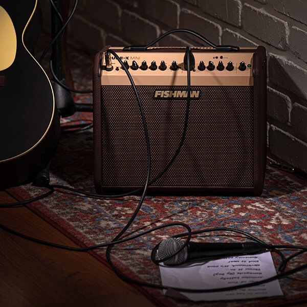 FISHMAN Loudbox Mini Amplifier