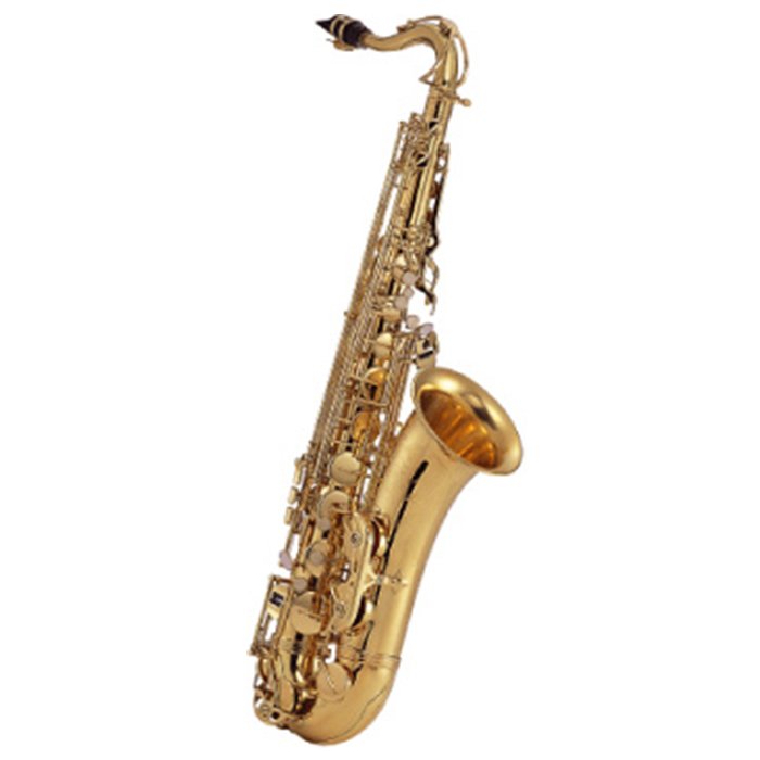 J.MICHAEL TN-900(P) TENOR SAX GOLD - MG Sports & Music