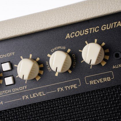 CORT AF60 Acoustic Guitar Amplifier