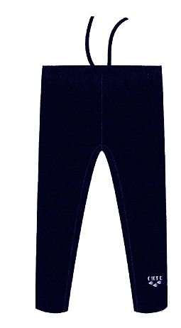 Arena Swim Trunks AST-E037