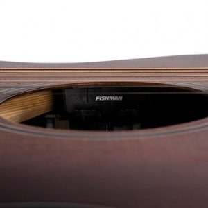 CORT Core-OC Blackwood Electric Acoustic Guitar - Open Pore Light Burst - Image 6