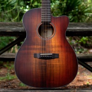 CORT Core-OC Blackwood Electric Acoustic Guitar - Open Pore Light Burst - Image 4