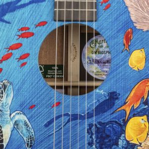 MARTIN OM - Biosphere Acoustic Electric Guitar - Image 2