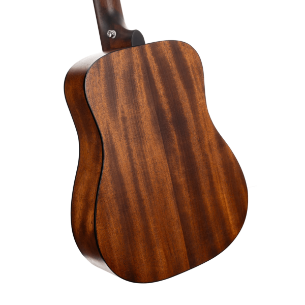 CORT Earth GO Acoustic Electric Guitar - Open Pore