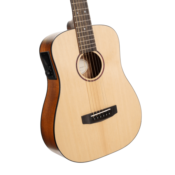 CORT Earth GO Acoustic Electric Guitar - Open Pore