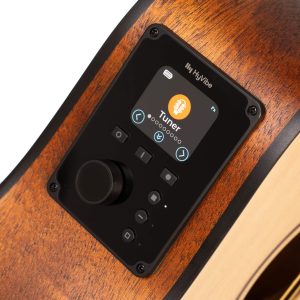 CORT Earth GO Acoustic Electric Guitar - Open Pore - Image 6