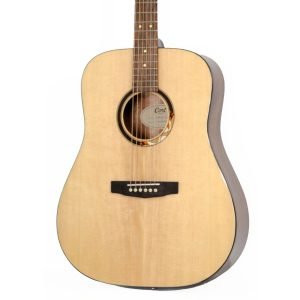 CORT Acoustic Guitar AD810DX Natural Glossy